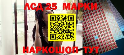 гидропоника Гатчина