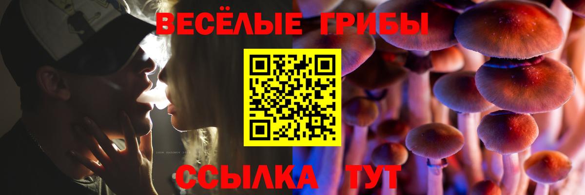 Галлюциногенные грибы Psilocybine cubensis  Вход с VPN  Добрянка  Псилоцибиновые грибы мухоморы 